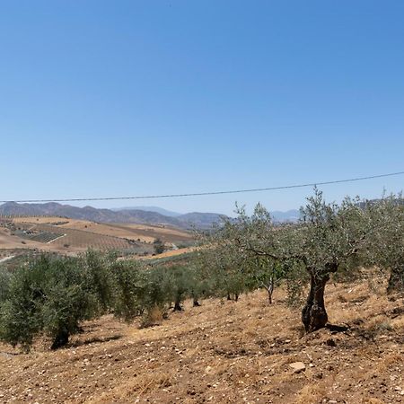 Casa Los Olivos Alora - Caminito Del Rey Екстер'єр фото