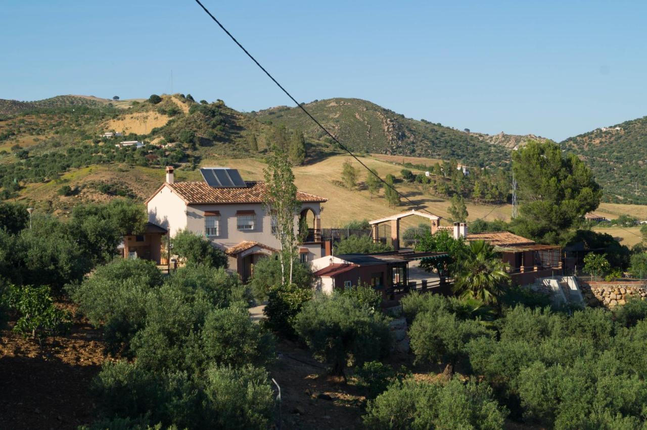 Casa Los Olivos Alora - Caminito Del Rey Екстер'єр фото
