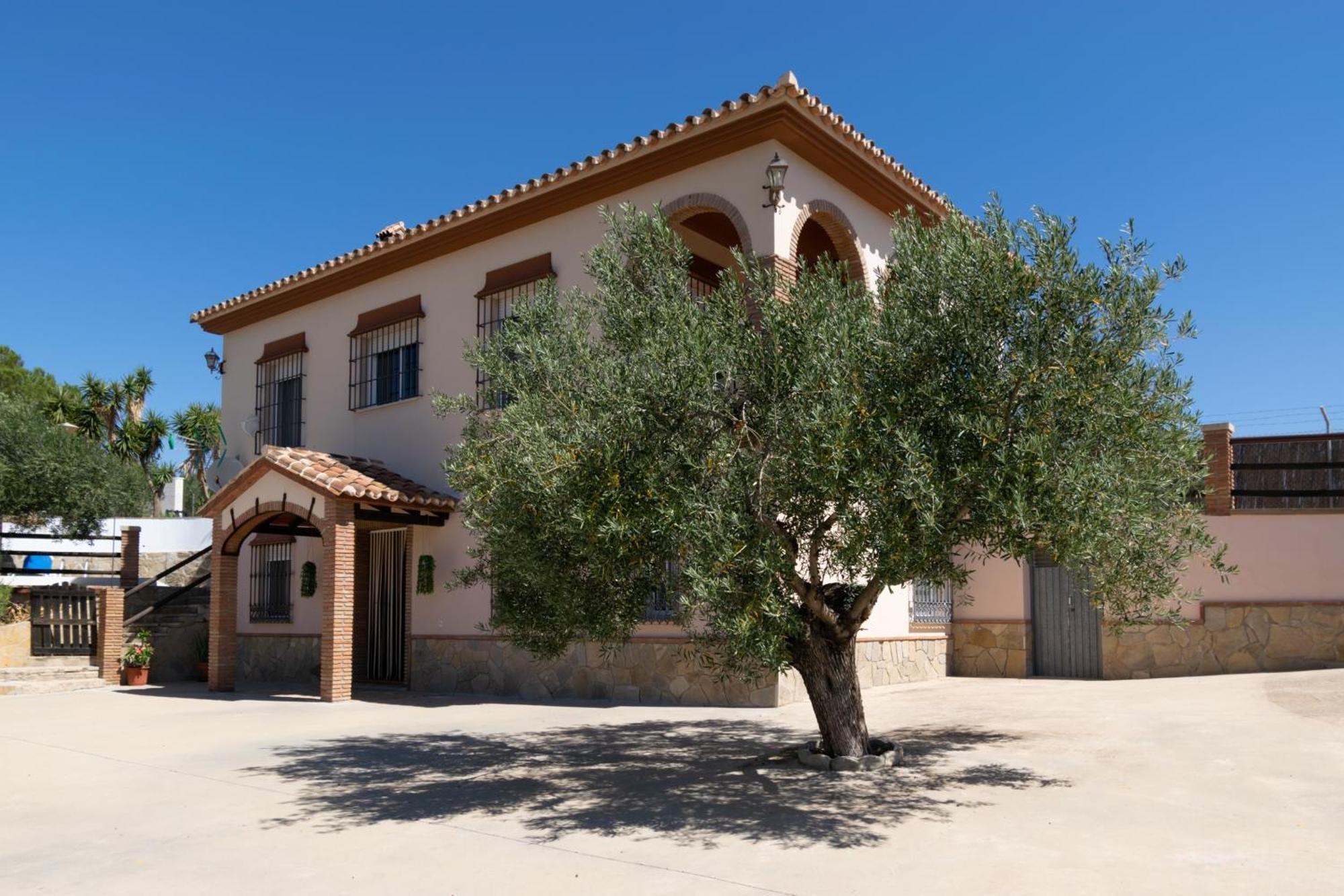 Casa Los Olivos Alora - Caminito Del Rey Екстер'єр фото